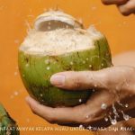 manfaat minyak kelapa hijau