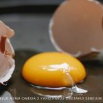 ciri telur ayam omega 3