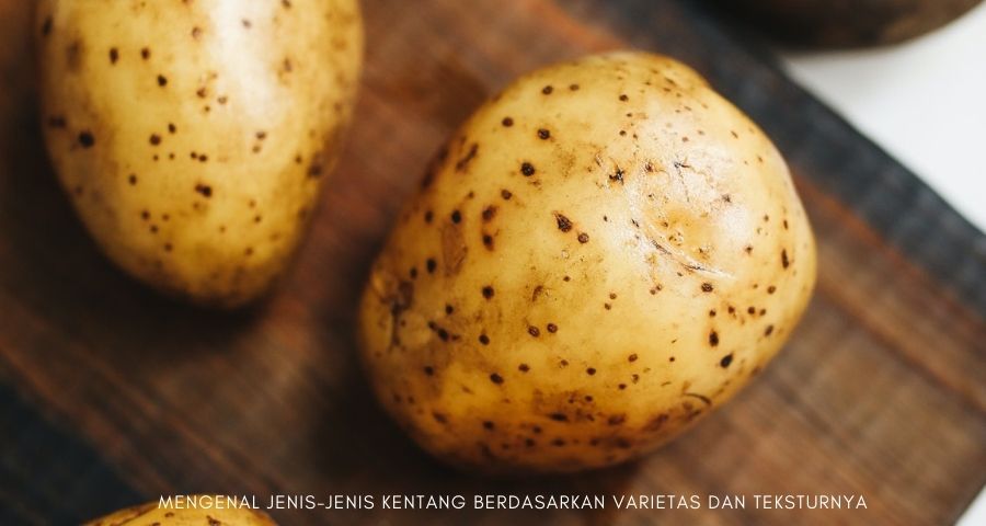 jenis-jenis kentang