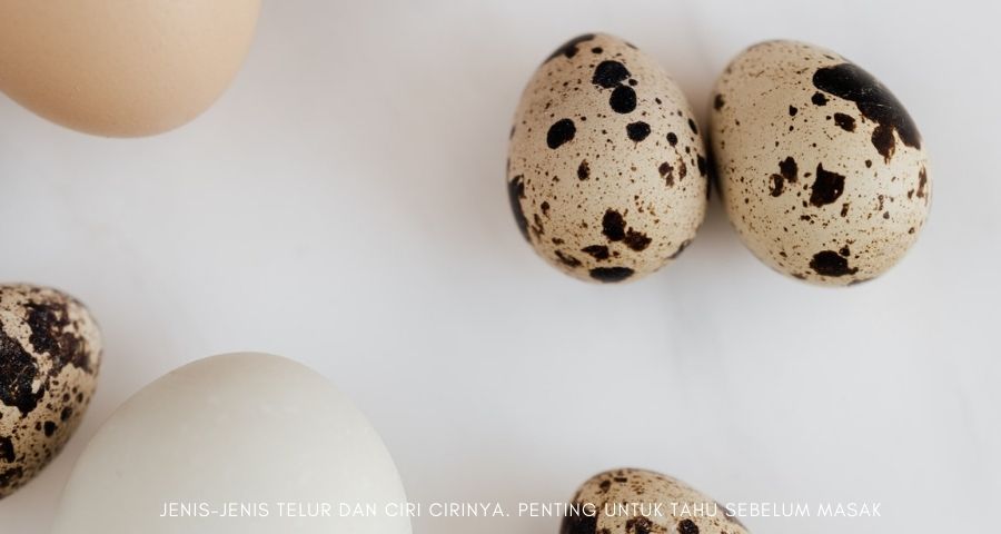 jenis jenis telur dan ciri cirinya