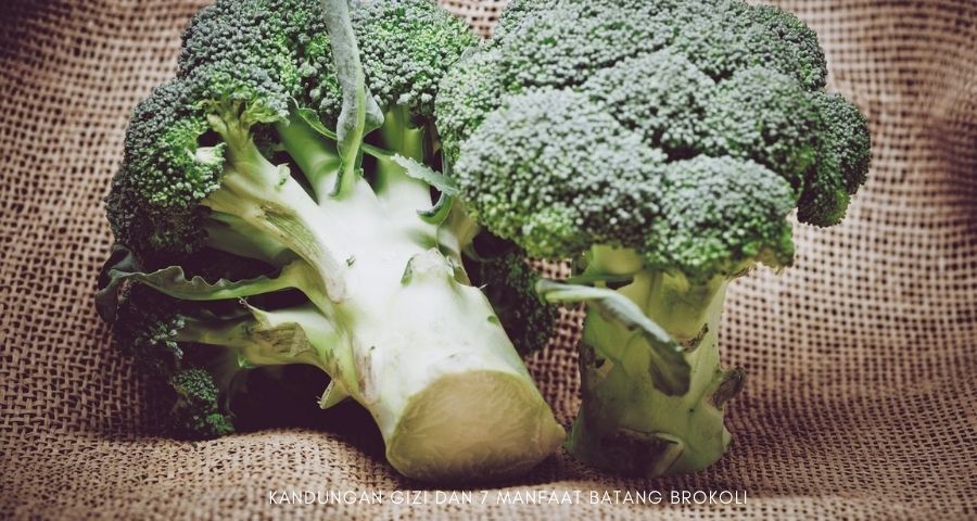 manfaat batang brokoli