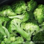 manfaat brokoli untuk ibu hamil