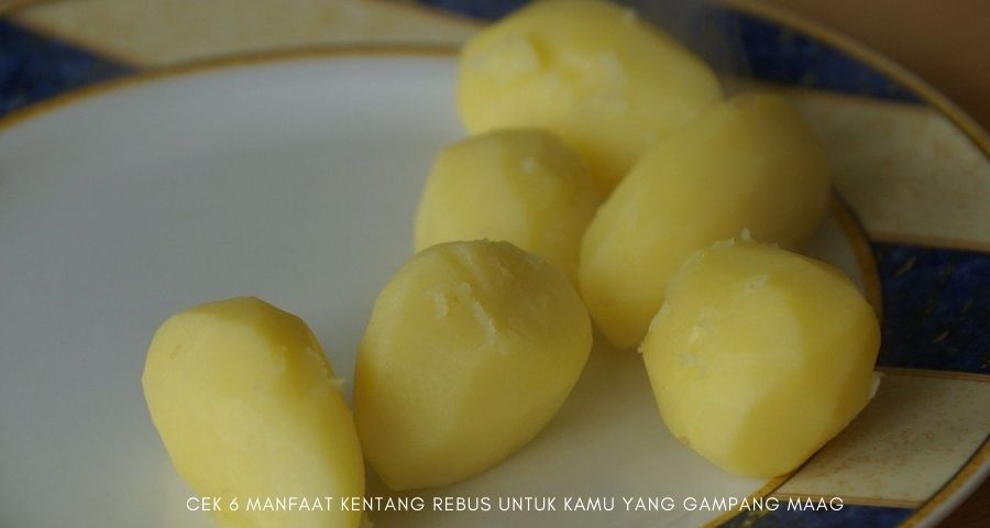 manfaat kentang rebus untuk maag