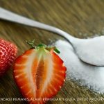 pengganti gula untuk diet