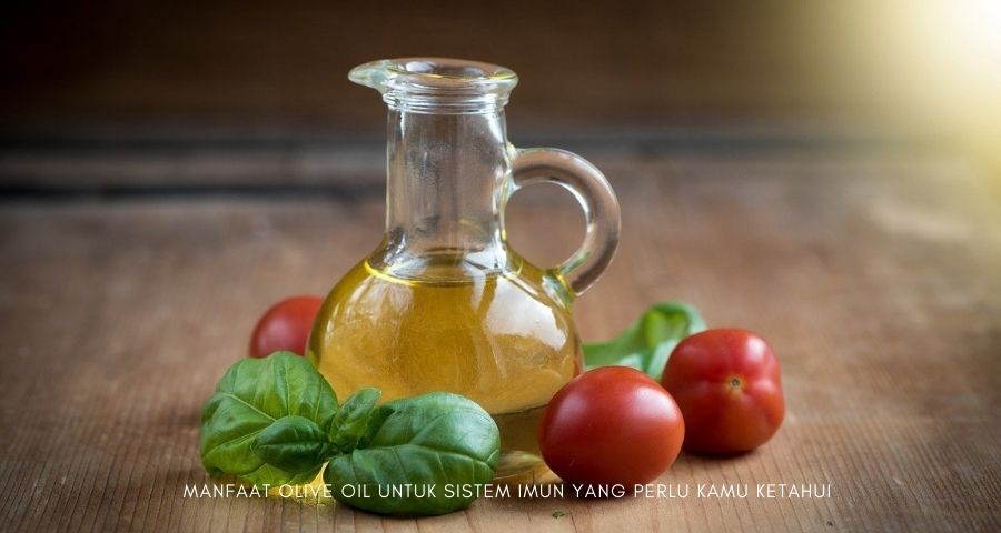 olive oil untuk sistem imun