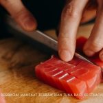 manfaat ikan tuna bagi kesehatan