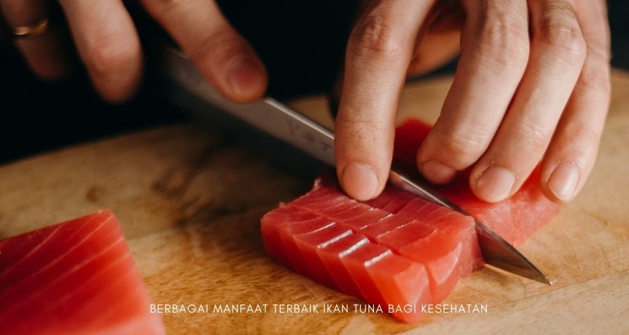 manfaat ikan tuna bagi kesehatan