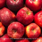 manfaat apel merah untuk ibu hamil