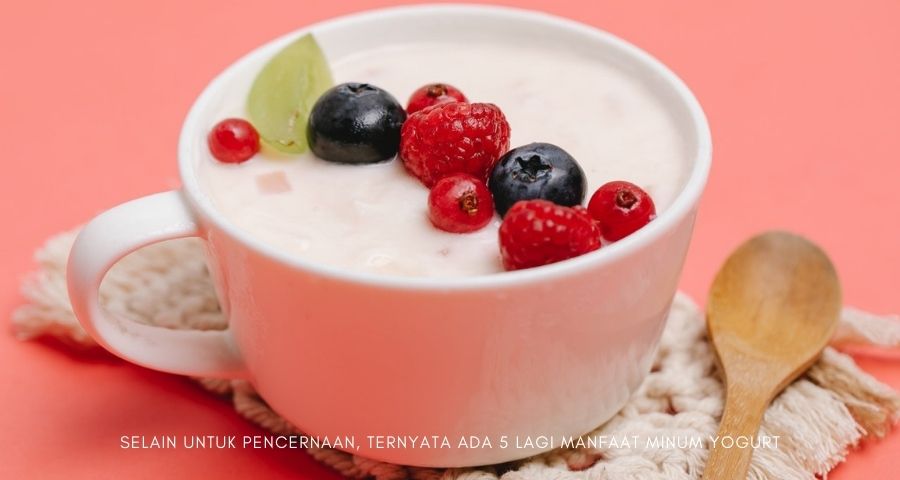 manfaat minum yoghurt