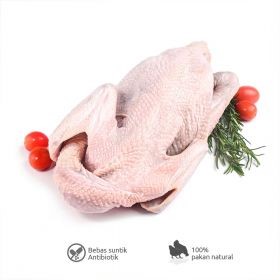 ayam organik lebih bergizi