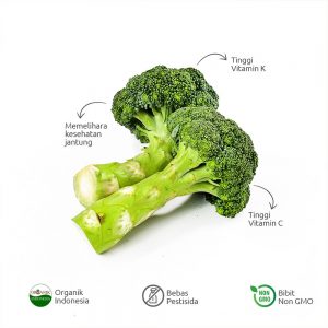 Brokoli Resep makanan sehat sayuran