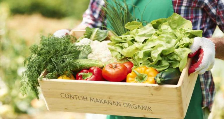 10 Contoh Makanan Organik Yang Kaya Nutrisi Dan Sehat