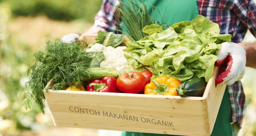 Contoh makanan organik