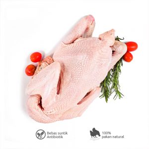 ayam-kampung organik