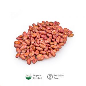 Kacang Merah Organik