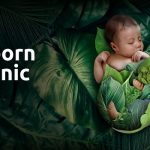 banner born organic