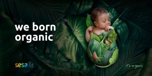 banner born organic