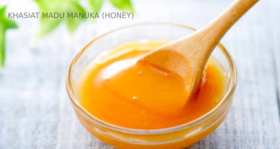 khasiat madu manuka honey