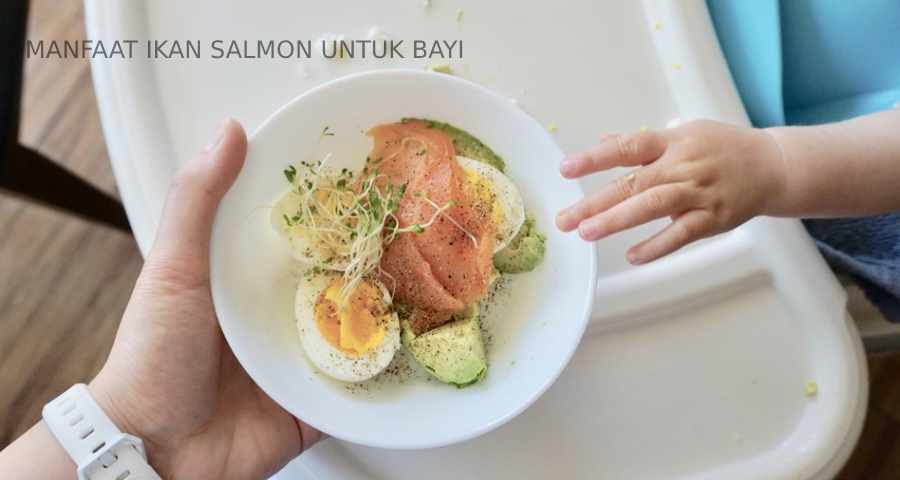 manfaat ikan salmon untuk bayi
